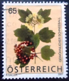 Selo postal da Áustria de 2007 Guelder Rose U