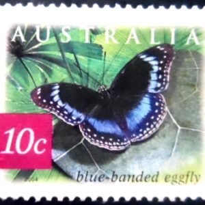 Selo postal da Austrália de 2008 Blue-banded Eggfly U