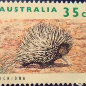 Selo postal da Austrália de 1992 Short-beaked Echidna U
