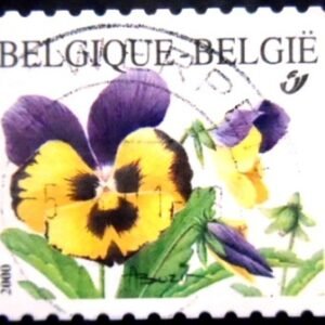 Selo postal da Bélgica de 2000 Violet tricolore U Dr