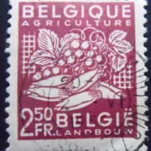 Selo postal da Bélgica de 1948 Agricultural Products 2.50 U