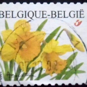 Selo postal da Bélgica de 2001 Wild Daffodil U Dr