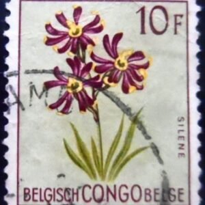 Selo postal do Congo Belga de 1952 Silene burchellii U