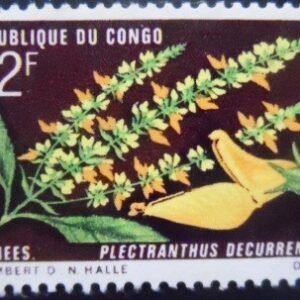 Selo postal do Congo de 1970 Plectranthus decurrens M