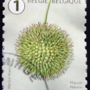 Selo postal da Bélgica de Sycamore Fruit 1 U