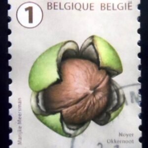 Selo postal da Bélgica de 2021 Walnut U