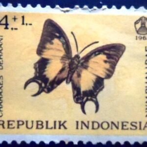 Selo postal da Indonésia de 1963 Charaxes dehaani M