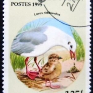 Selo postal do Benin de 1995 Black-headed Gull NCC