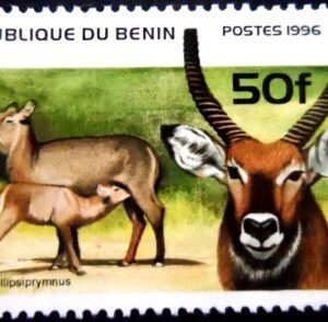 Selo postal do Benin de 1996 Waterbuck M