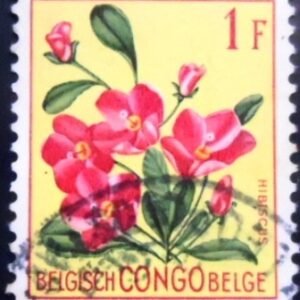 Selo postal do Congo Belga de 1952 Hibiscus rhodanthus U