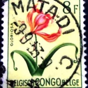 Selo postal do Congo Belga de 1952 Gloriosa simplex U