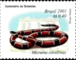 Selo postal do Brasil de 2001 Micrurus corallinus N