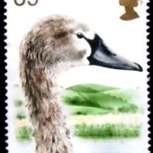 Selo postal do Reino Unido de 1993 Young Mute Swan N