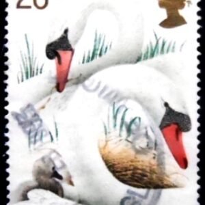 Selo postal do Reino Unido de 1993 Mute Swan 28 U