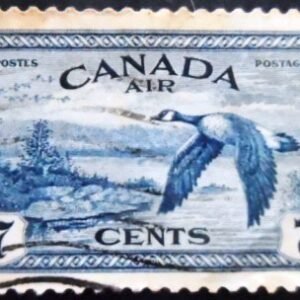 Selo postal do Canadá de 1946 Canada Goose U