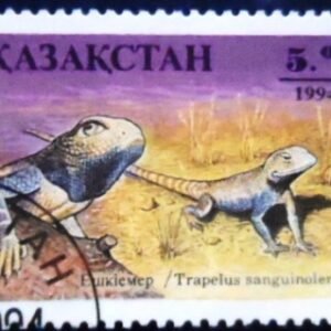 Selo postal do Cazaquistão de 1994 Steppe Agama NCC