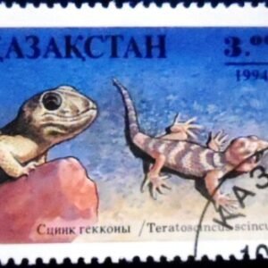 Selo postal do Cazaquistão de 1994 Common Wonder Gecko NCC