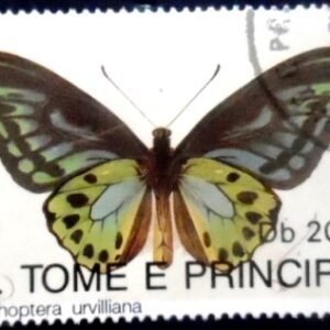 Selo postal de São Tomé e Princípe de 1992 Urville's Birdwing NCC