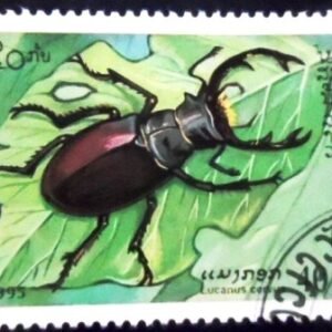Selo postal do Laos de 1995 Stag Beetle NCC