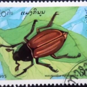 Selo postal do Laos de 1995 Common Cockchafer NCC