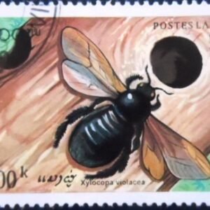 Selo postal do Laos de 1995 Violet Carpenter Bee NCC
