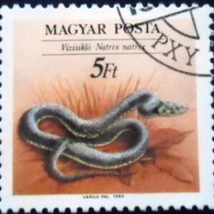 Selo postal da Hungria de 1989 European Grass Snake NCC