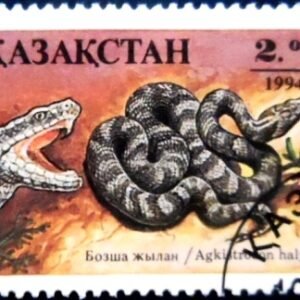 Selo postal do Kasaquistão de 1994 Siberian Pit Viper NCC