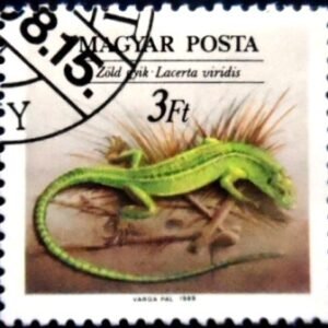Selo postal da Hungria de 1989 Green Lizard NCC