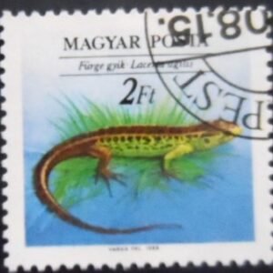 Selo postal da Hungria de 1989 Sand Lizard NCC