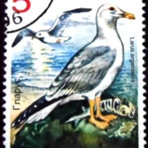 Selo postal da Bulgária de 1988 Herring Gull NCC