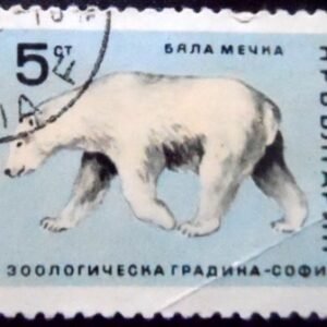 Michel BG 1622 Nº do selo BG 1489 Yvert et Tellier BG 1420 Stanley Gibbons BG 1614 Nº AFA BG 1588 Unificato BG 1622 Temas: Animais (Fauna) | Jardins zoológicos | Mamíferos | Ursos | Ursos Polares Data de emissão: 1966-05-23 Dimensões: 40 x 30 mm Cores: Multicolorido Desenhadores: Zdravka Taseva Formato: Selo Emissão: Comemorativo Denteado: linha10½ Impressão: Fotogravura Valor facial: 5 ст - Stotinka búlgaro Exemplares emitidos: 500.000