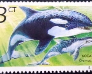 Selo postal da Bulgária de 1991 Killer Whale N