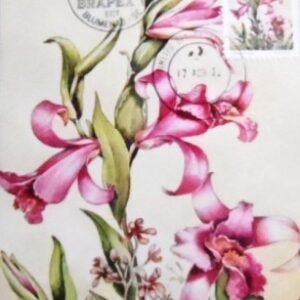 Máximo Postal nº 70 de 1982 Orquídea 85 SC 7924