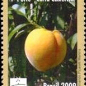 Selo postal do Brasil de 2009 Pêssego M