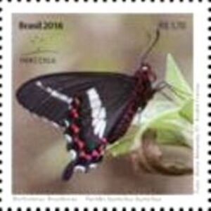 Selo postal do Brasil de 2016 Parides bunichus bunichus M