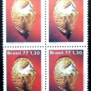 Quadra de selos postais do Brasil de 1977 Strombus M QD