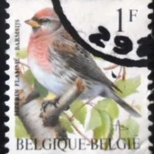 Selo postal da Bélgica de 1995 Common Redpoll U
