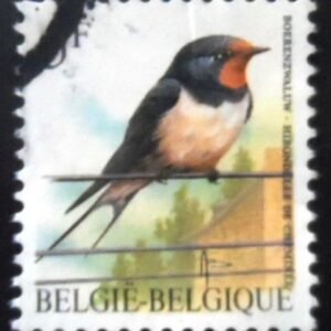 Selo postal da Bélgica de 1992 Barn Swallow U