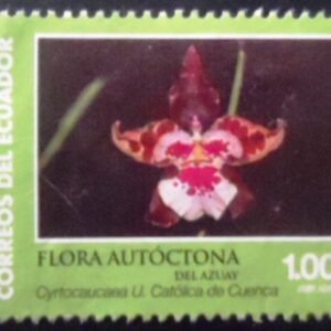 Selo postal do Equador de 2016 Cyrtocaucaea Universidad Católica de Cuenca N