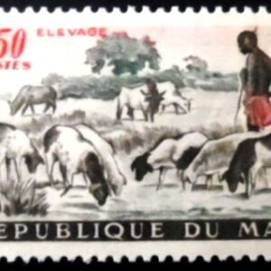 Selo postal de Mali de 1961 Domestic Sheep M
