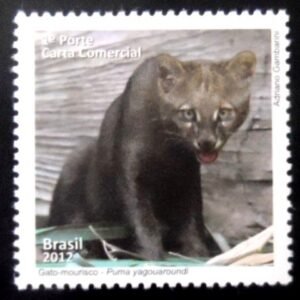 Selo postal do Brasil de 2012 Gato-mourisco M