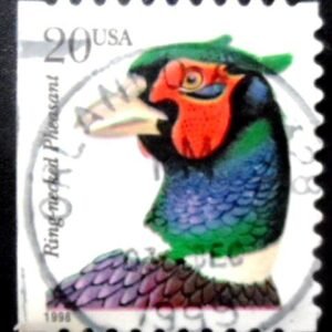 Selo postal dos Estados Unidos de 1999 Ring-necked Pheasant U BMI