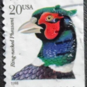Selo postal dos Estados Unidos de 1999 Ring-necked Pheasant U BDr