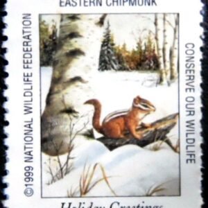 Selo postal Cinderela dos Estados unidos de 1999 Eastern Chipmunk N