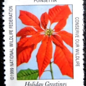 Selo postal Cinderela dos Estados unidos de 1999 Poinsettia N