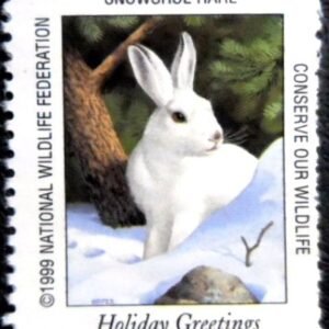 Selo postal Cinderela dos Estados unidos de 1999 Snowshoe Hare N