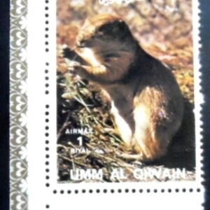 Selo postal de Umm Al Quiwain de 1972 Black-tailed Prairie Dog NCC
