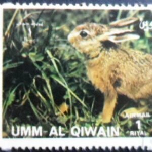 Selo postal de Umm Al Quiwain de 1977 European Hare NCC