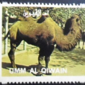 Selo postal de Umm Al Quivain de 1972 Bactrian Camel NCC
