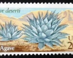 Selo postal dos Estados Unidos de 1981 Desert Plants Agave N